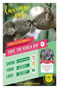 Save the Koala Day Poster