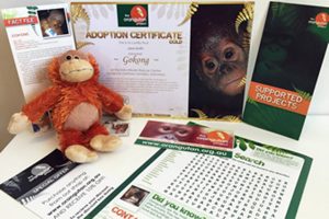 TOP Orangutan Adoption Pack