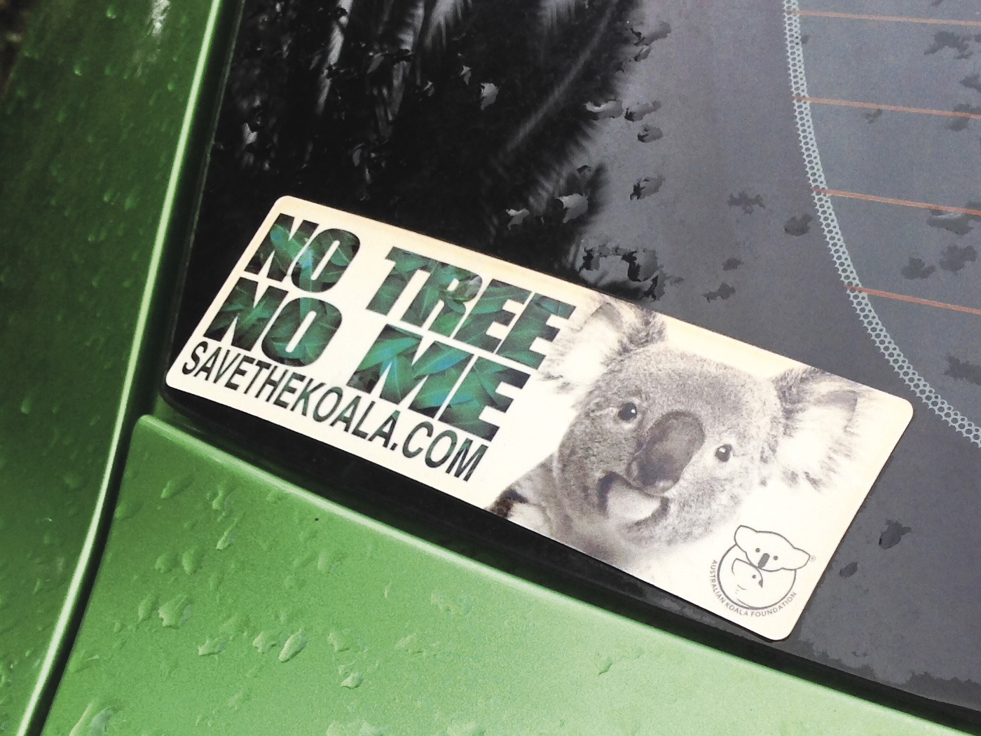 No Tree No Me Bumper Sticker