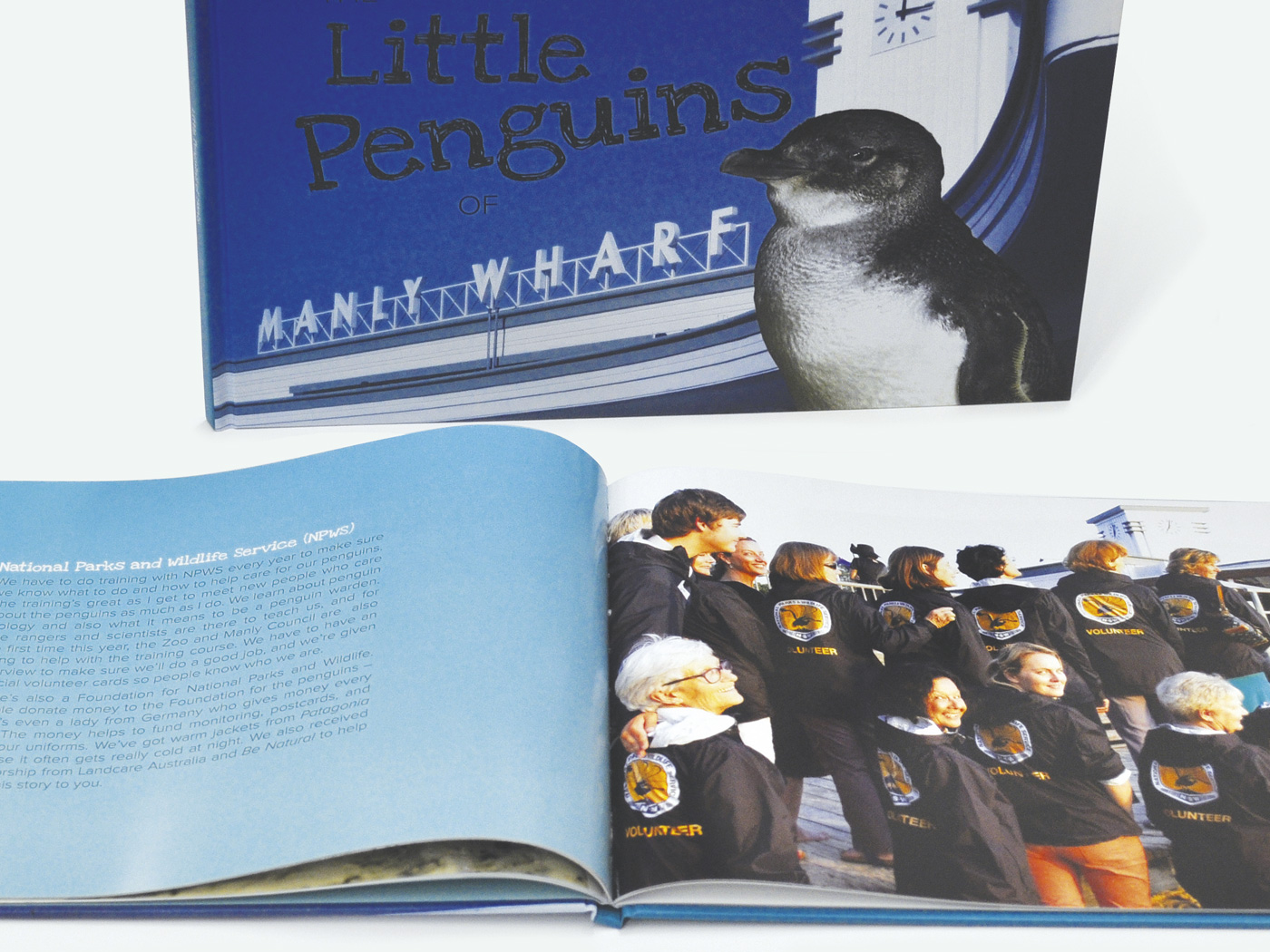 Little Penguins of Manly Book