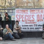 National Threatened Species Day - Sydney Martin Place