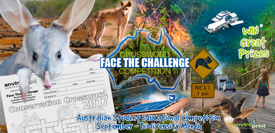 Face The Challenge Crossword Competition 2017