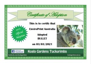 Bullet Koala Adoption Certificate