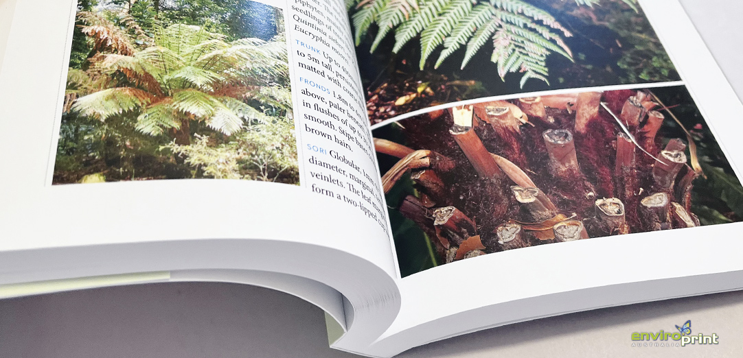 Self-published books