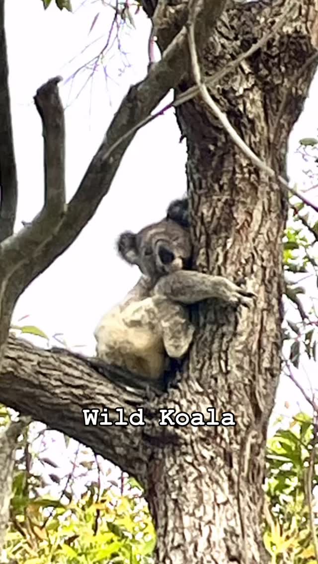 EnviroPrint Australia