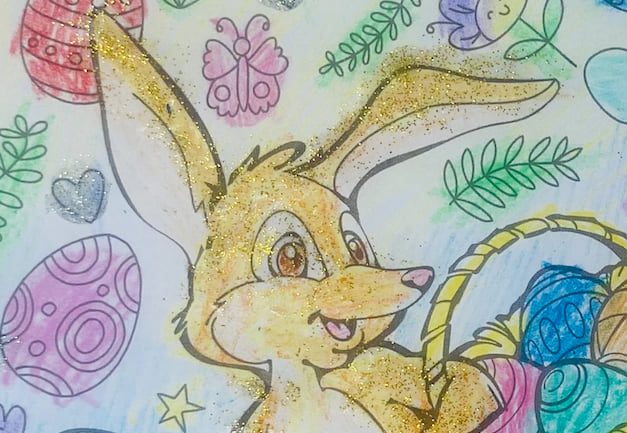 Face The Challenge Competition - Save Australia's Endangered Species